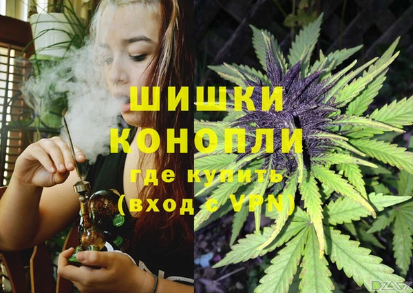 молекула духа Баксан